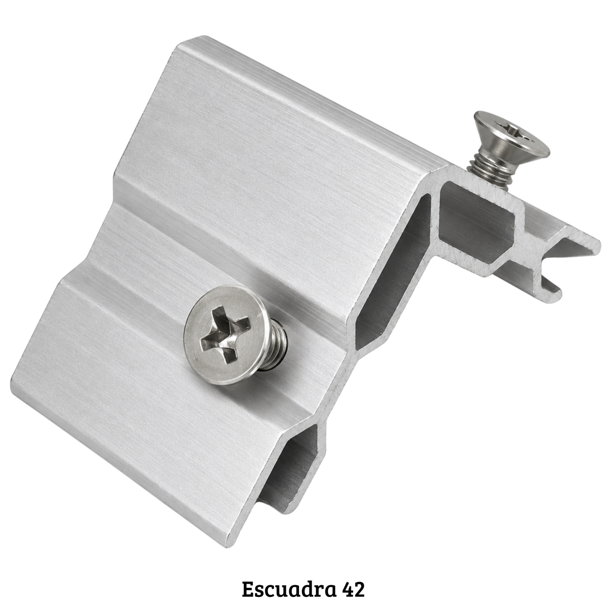 Escuadra 42